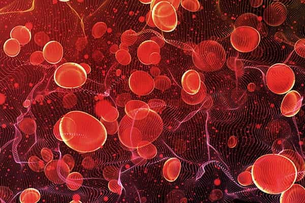 Red Blood Cells